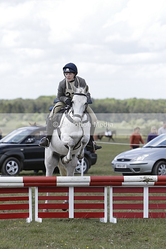 BVHT 140517 N-311 - Class 2 SJ Novice 14/05/17