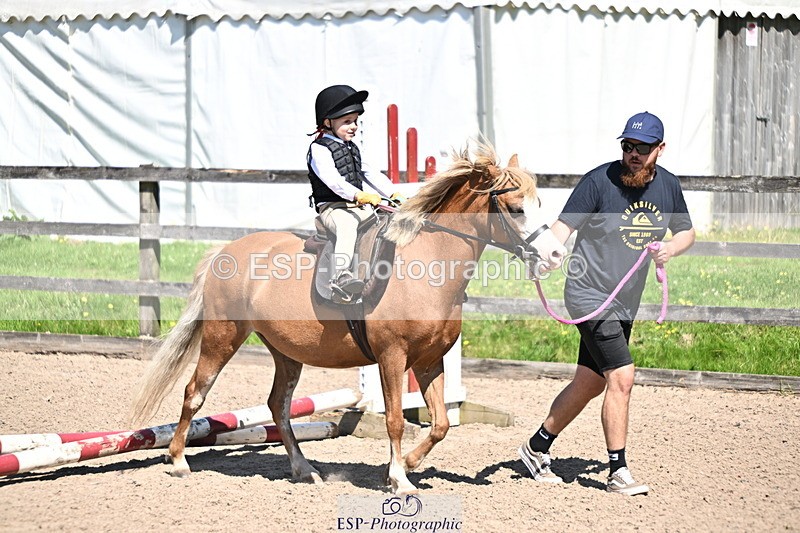 240729B-111813-02303 - Showjumping Competition