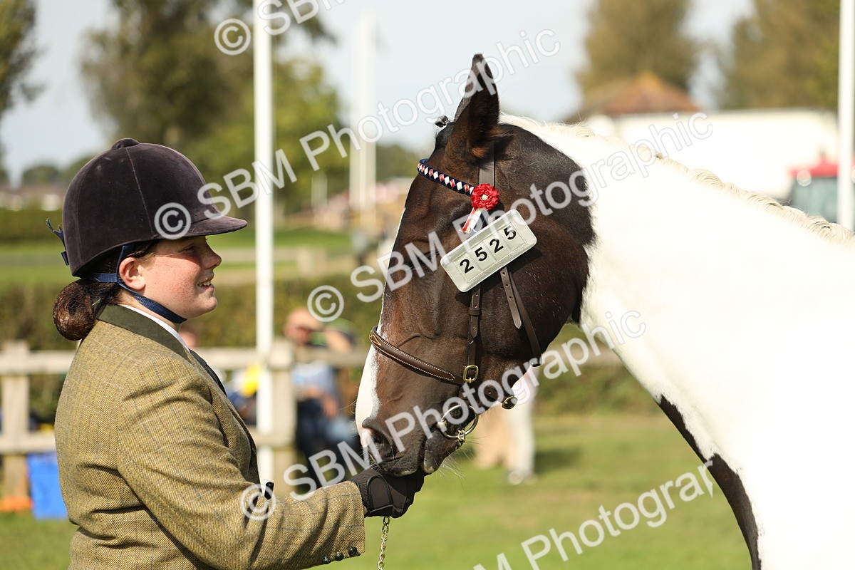 SBM_68629 - S40 - Junior Handler 9-12 Years