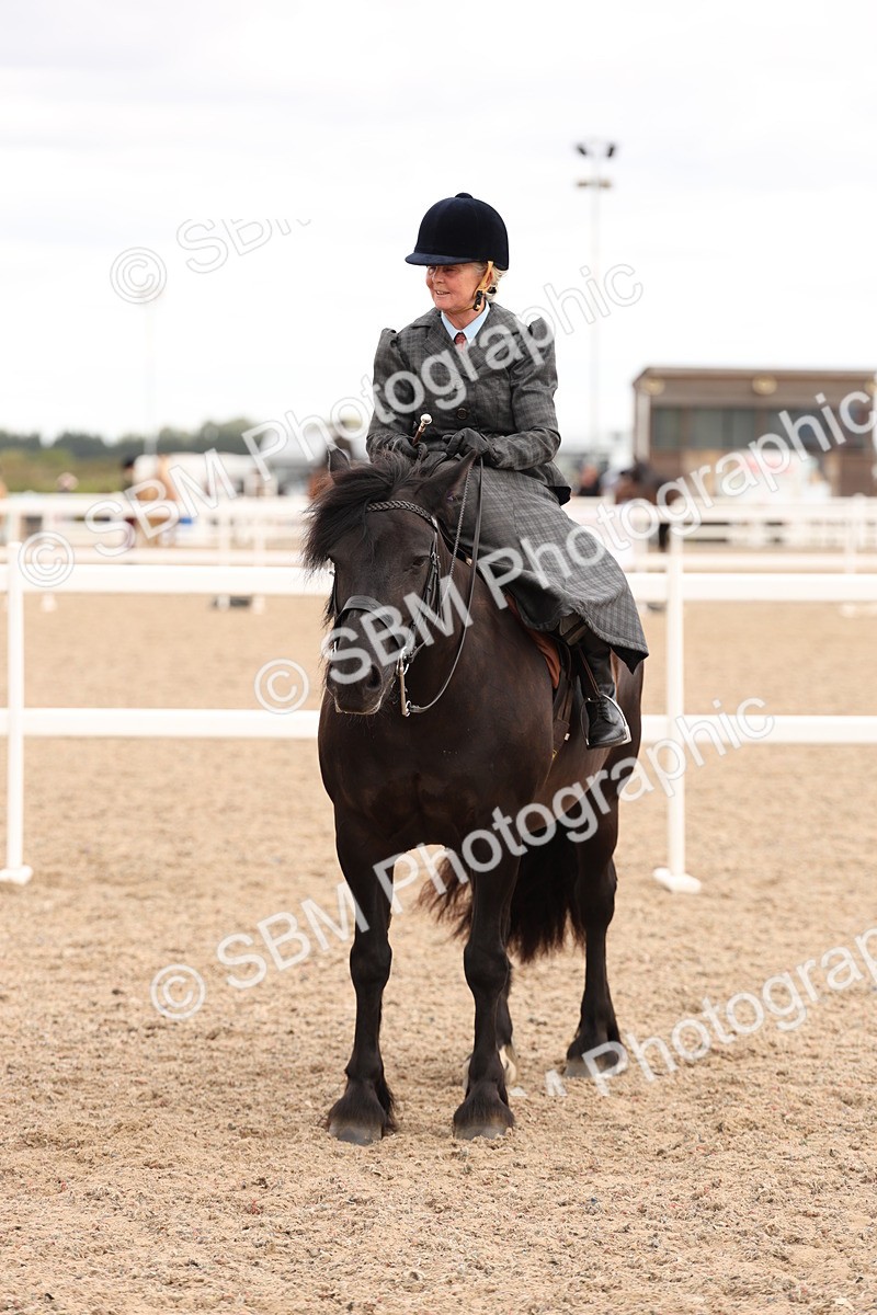 SBM_16436 - Class 211 - Best Side Saddle Horse - Pony