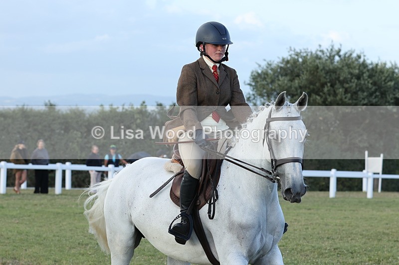 JPP_3701 - Class 24: Open Working Hunter