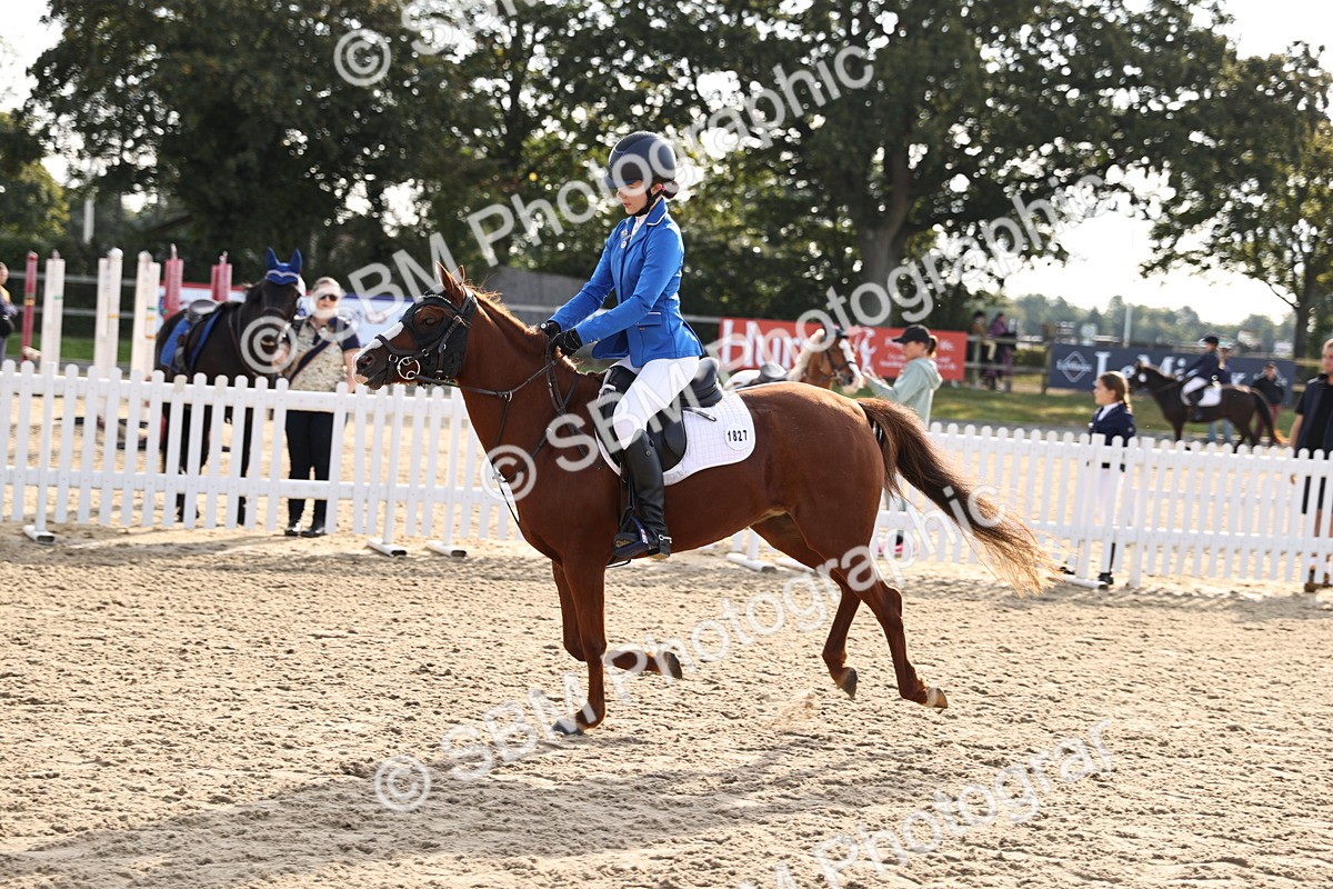 SBM_59800 - J11 - Junior Pony 50cm Championship