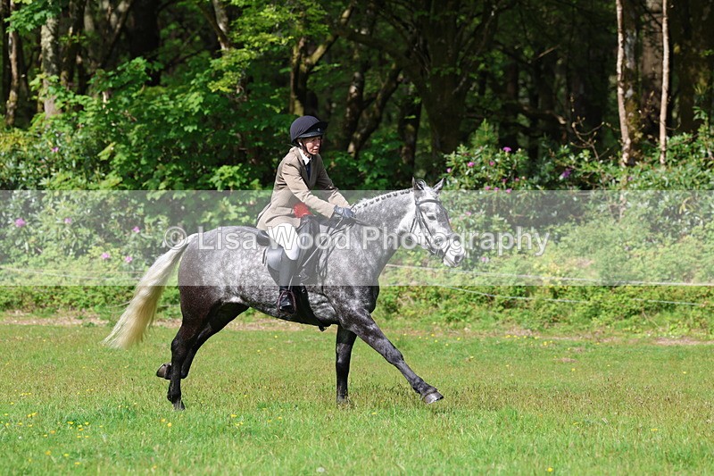 3E7A2690 - Working Hunter Championship