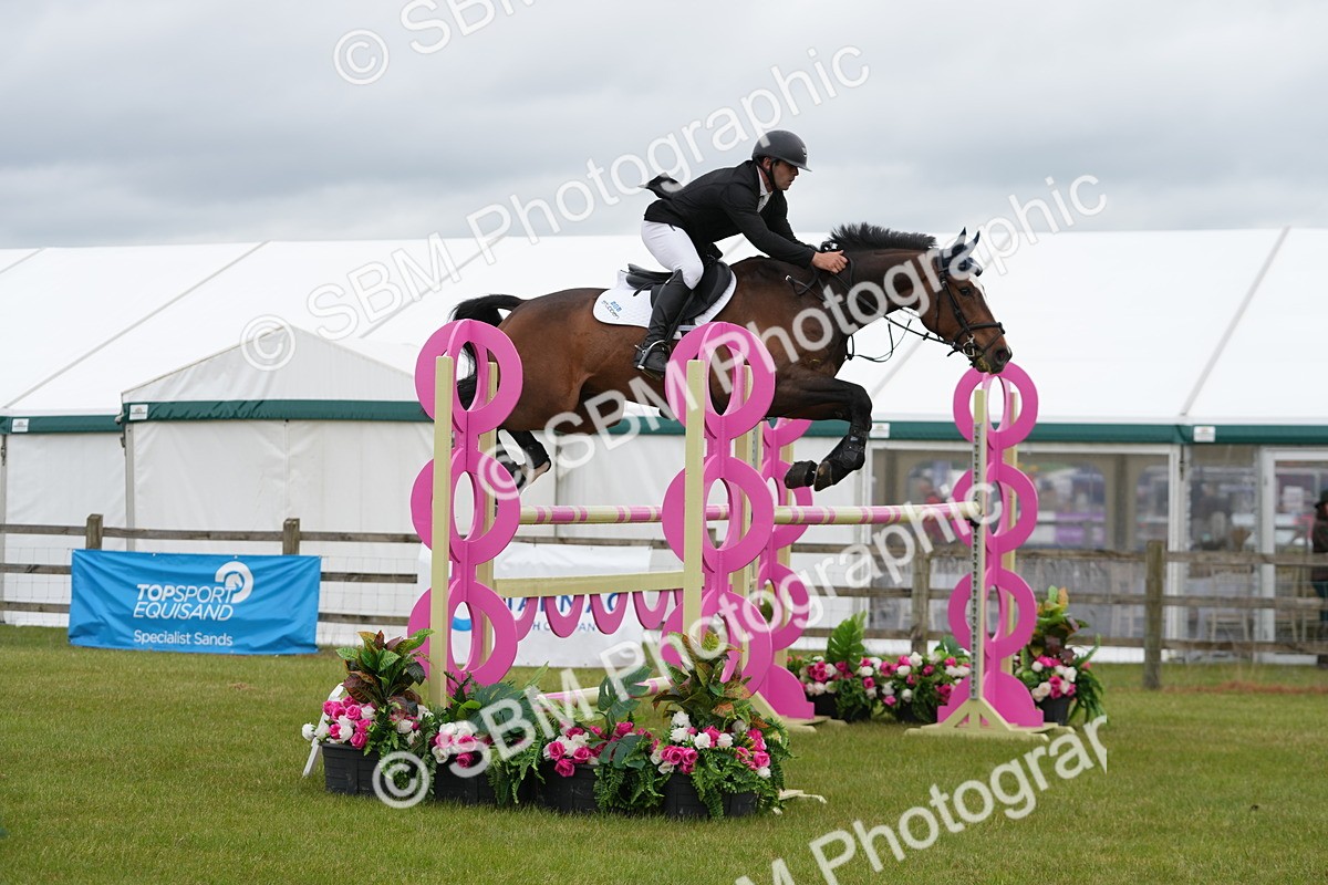 SBM_03276 - Class 201 - British Horse Feeds Speedi Beet Horse of the Year Show Grade  C