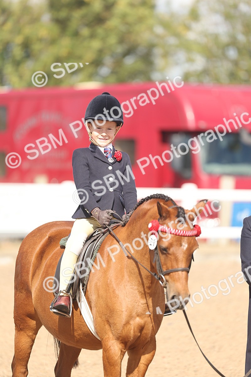 SBM_23171 - Class 806 - Young Rider 10ry and Under