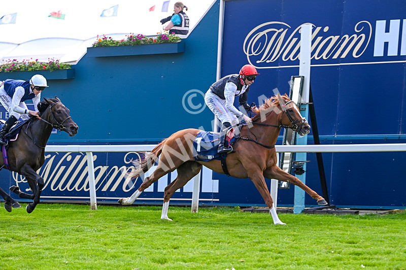 230526-Race 4-Danielle-7016 - Race 4 15.15pm William Hill Bronte Cup Fillies' Stakes
