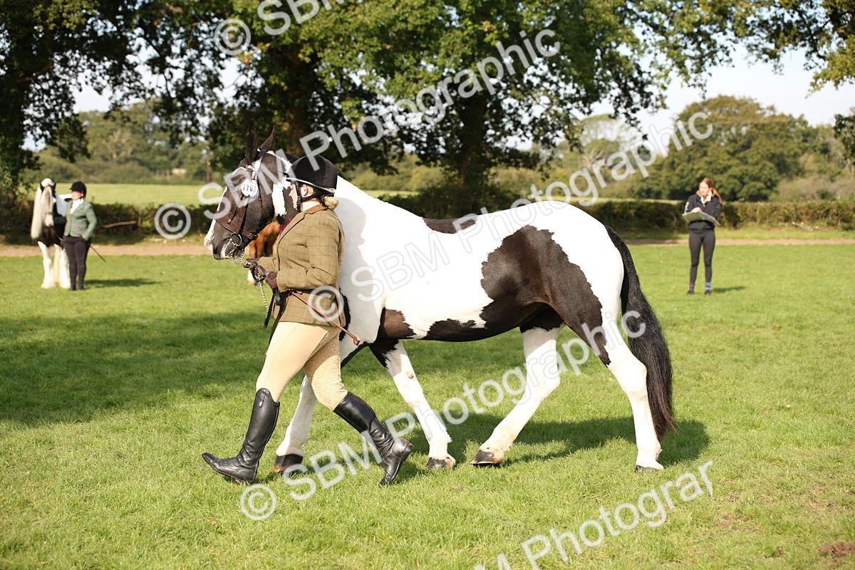 SBM_61210 - S54 - Show Cob In Hand