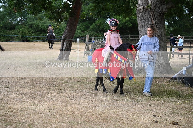 WJ6_8944 - Class 11 Fancy Dress