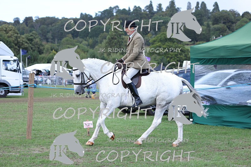 APP_4146 - Class 15a/b Pony club pony/Riding club horse