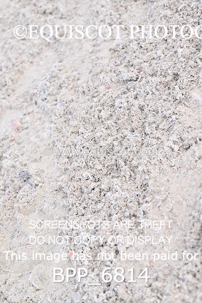 BPP_6814 - RING 1  (RIDDEN HORSES / IN HAND / VETERAN ETC)