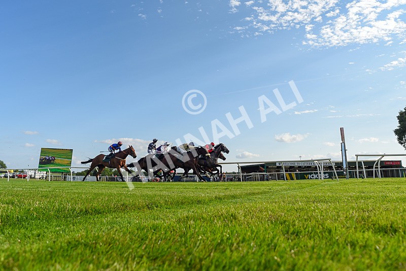 100625-Race 3-Stellarmasterpiece-4527 - Race 3