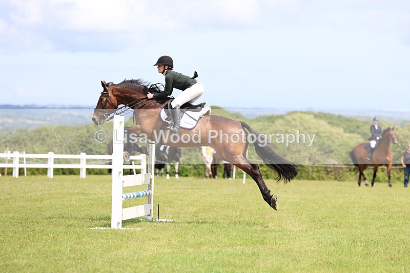 3E7A7515 - Class 13: Senior British Novice/90cm open