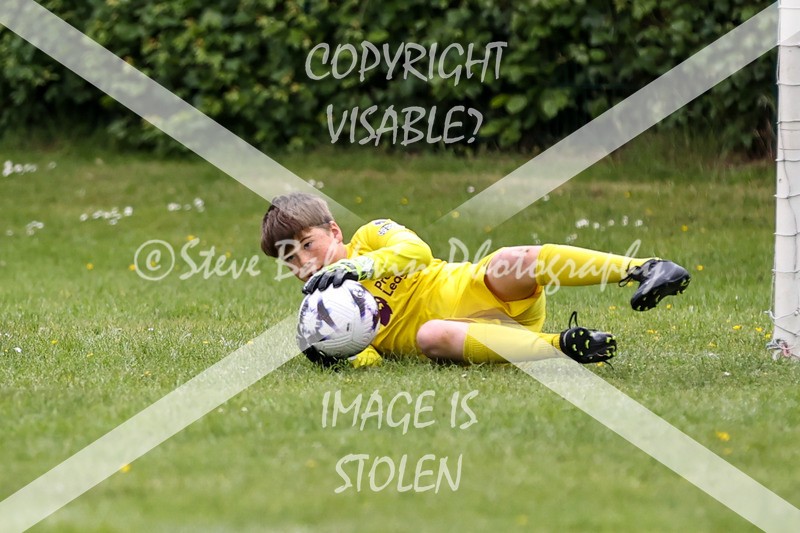 1DX32528 - The Croft V Tregoze