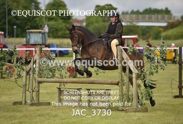 JAC_3730 - 75CM WORKING HUNTER