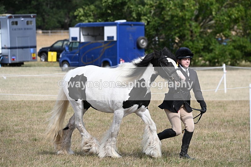 WJ6_6460 - Class 20 In-hand Cob