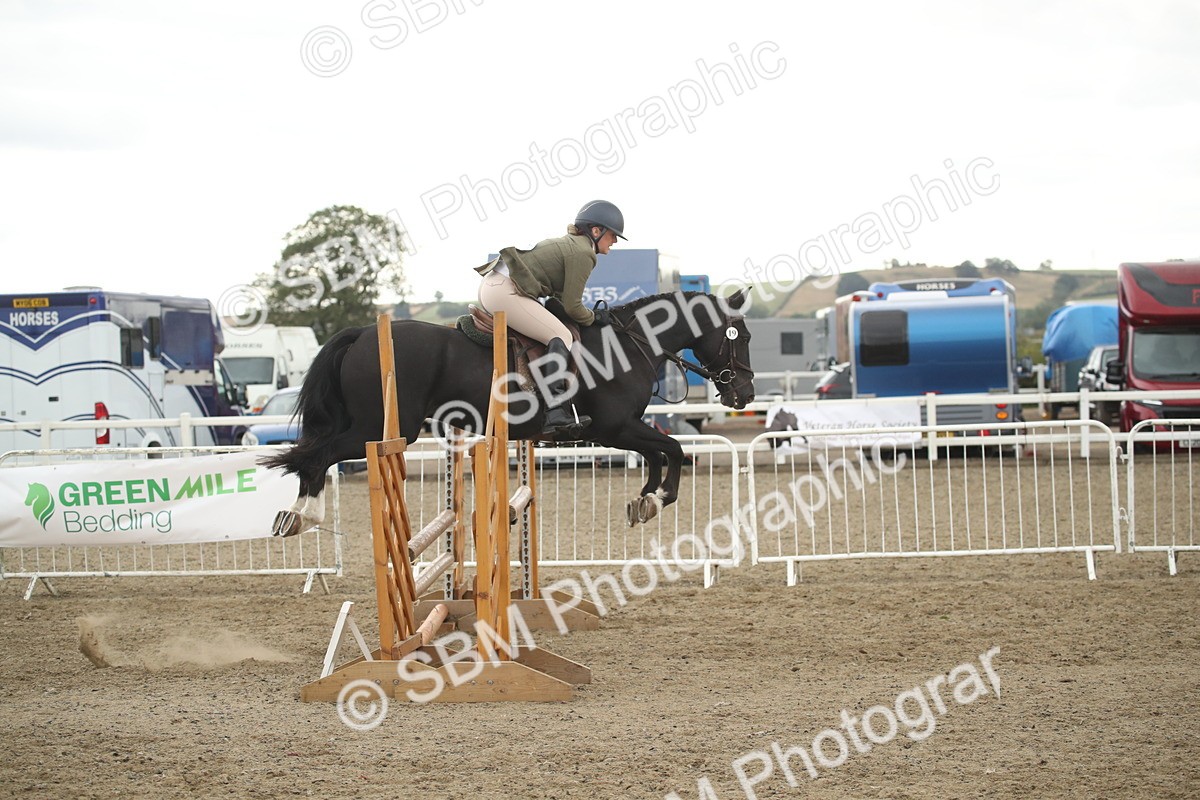 SBM_18455 - Class 510a - Working Veteran 90cm (15-19)