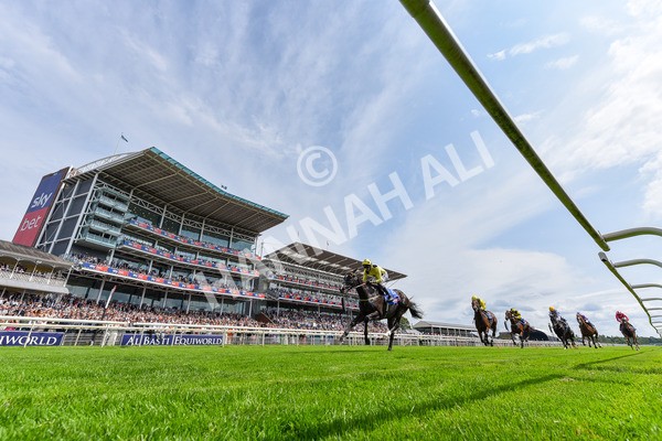 260725-Race 3-Royal Champion-2 - Race 3 2.40pm Sky Bet York Stakes