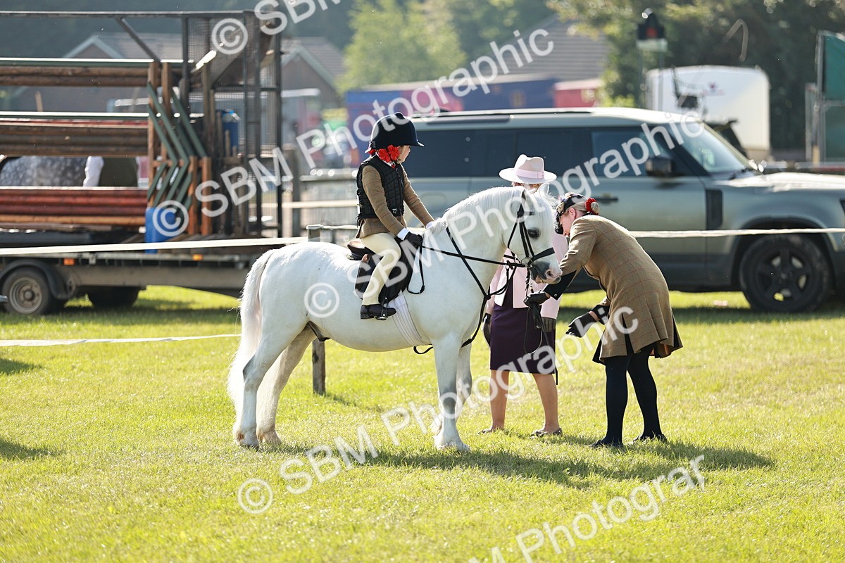 SBM_11290 - Class 106-107 - BSPS LIHS Working Sports Pony