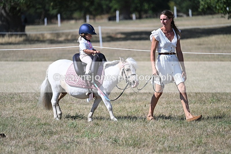 WJ7_1424 - Class 41 Prettiest Mare