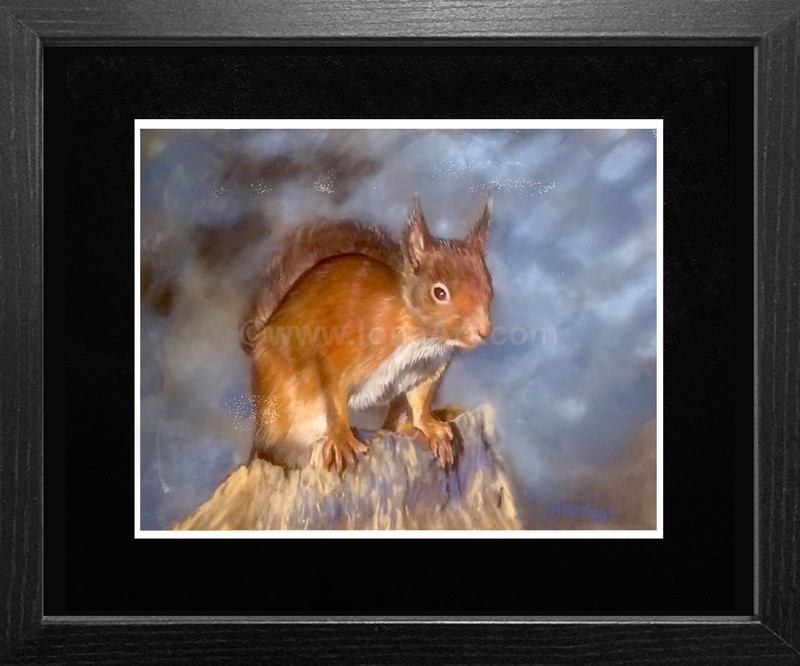 Suzie ( SOLD) - Widlife/Nature