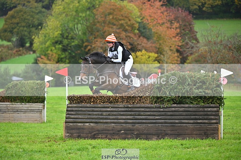 251025A-103901-16786 - D-354-Poppy.Burner