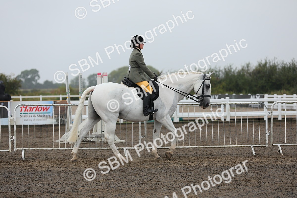 SBM_21214 - Class 805 - Ridden Veteran Horse