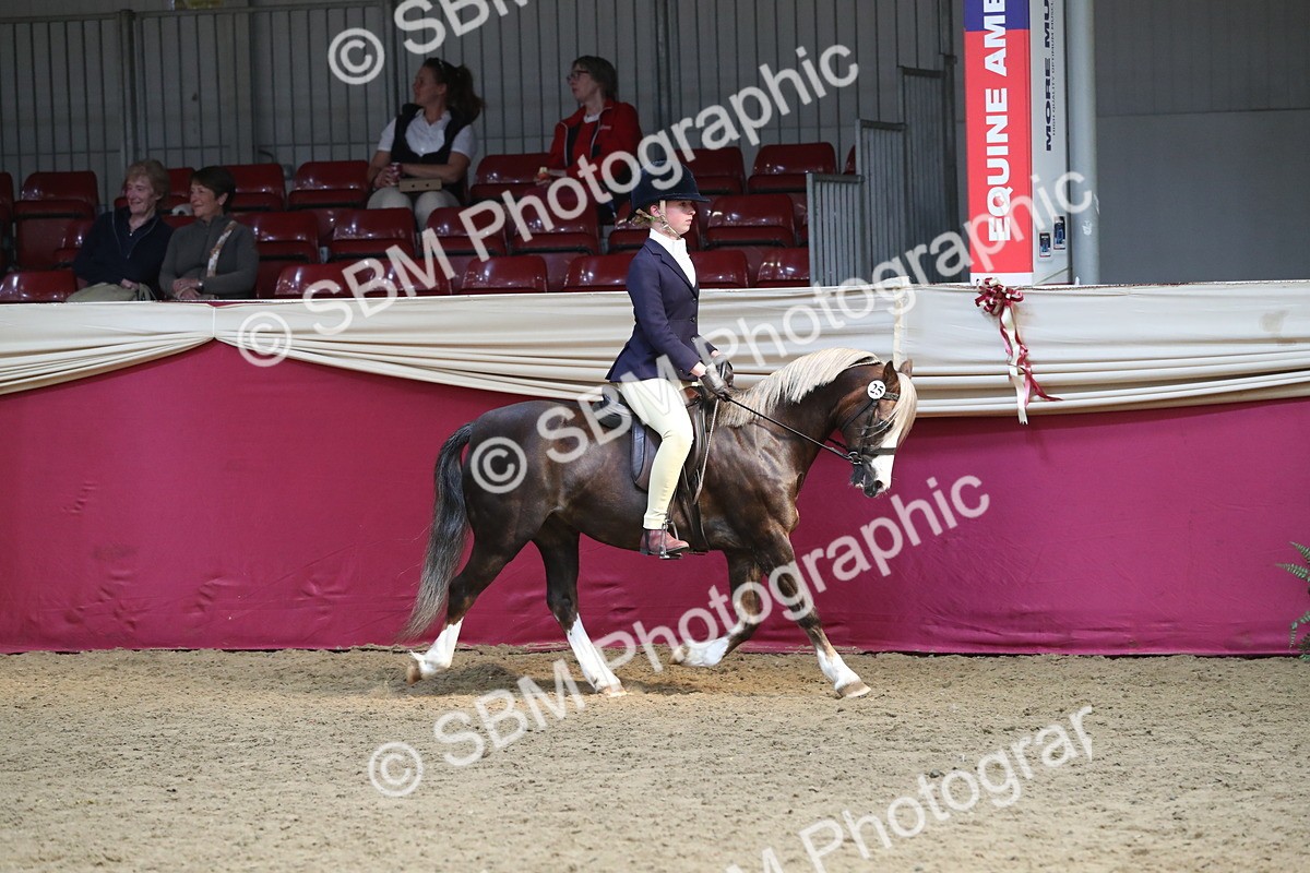 SBM_16284 - Class 502 M&M Ridden Supreme Final