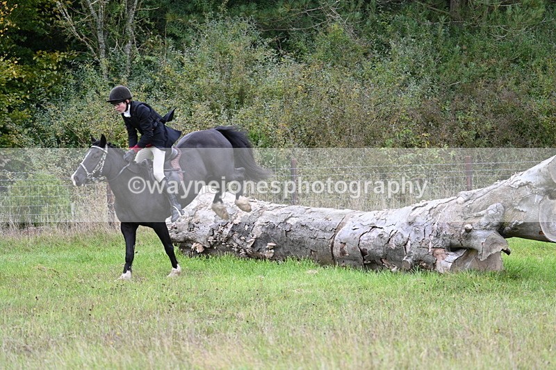 WJ7_3895 - Camera 1 Line 1