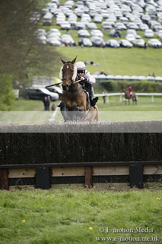 PtP 170417 171 - Old Berks Point-to-Point Lockinge 17/04/17