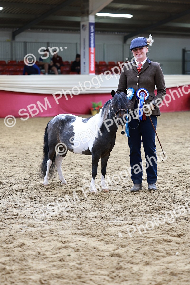 SBM_15755 - Class 110 - IH  Minature Horse