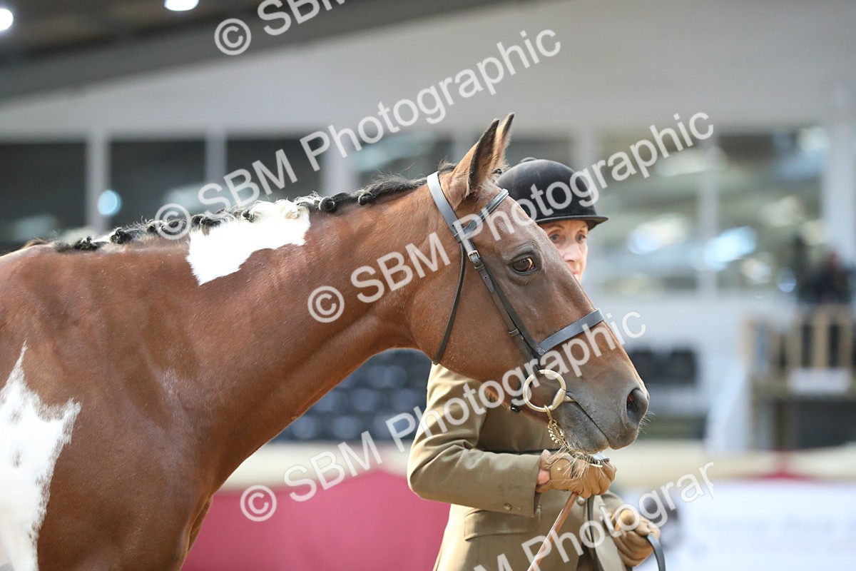SBM_01276 - Class 3a Area IH Pre Vet