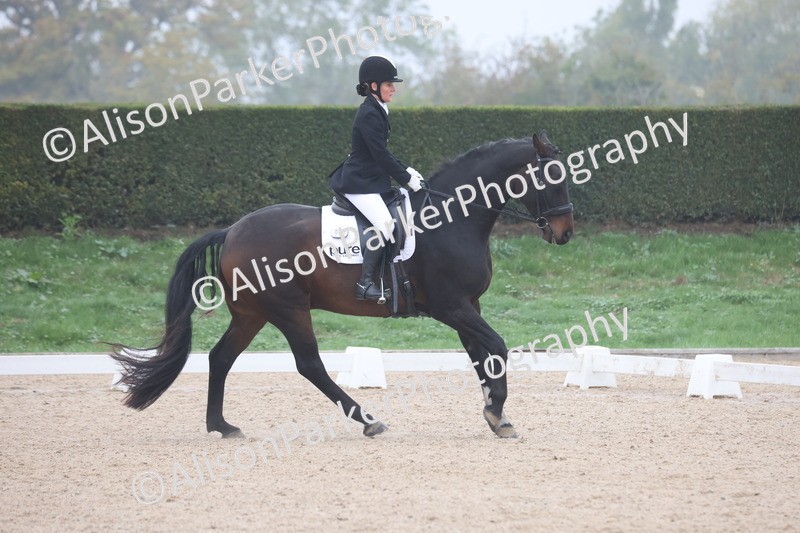 20251012-0461 - Class 3 - Novice 5