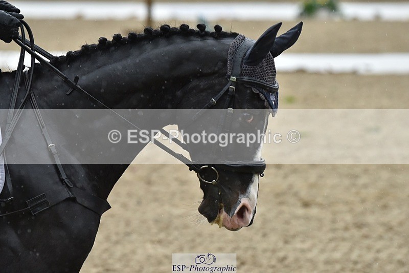 231018-145026-00646 - 004-CARTOON.HERO-Sophie.Wildern-DR