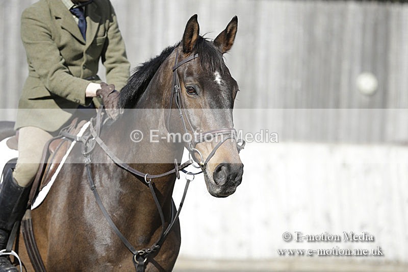 BVRC 050320 0617 - Bourne Valley riding Club Show Jumping Tidworth 08/03/20