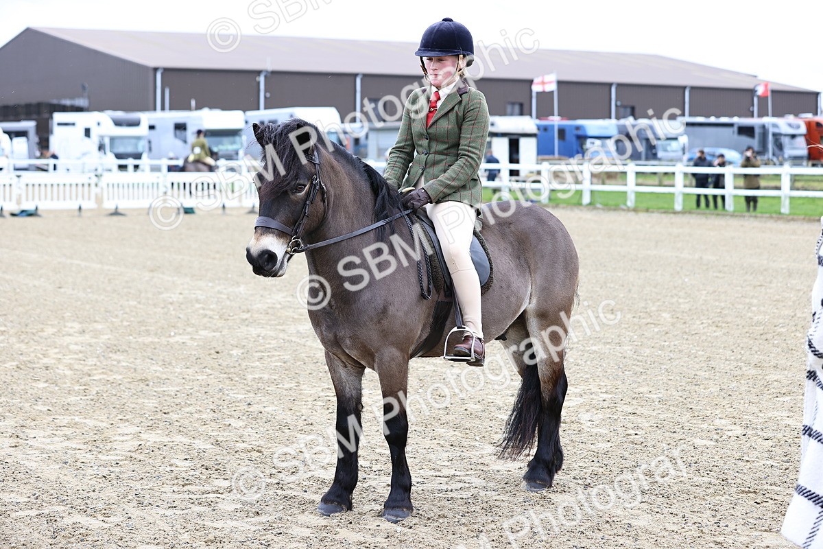 SBM_006824 - Class 29 - 30 - M&M Pure Novice Small-Large Breeds