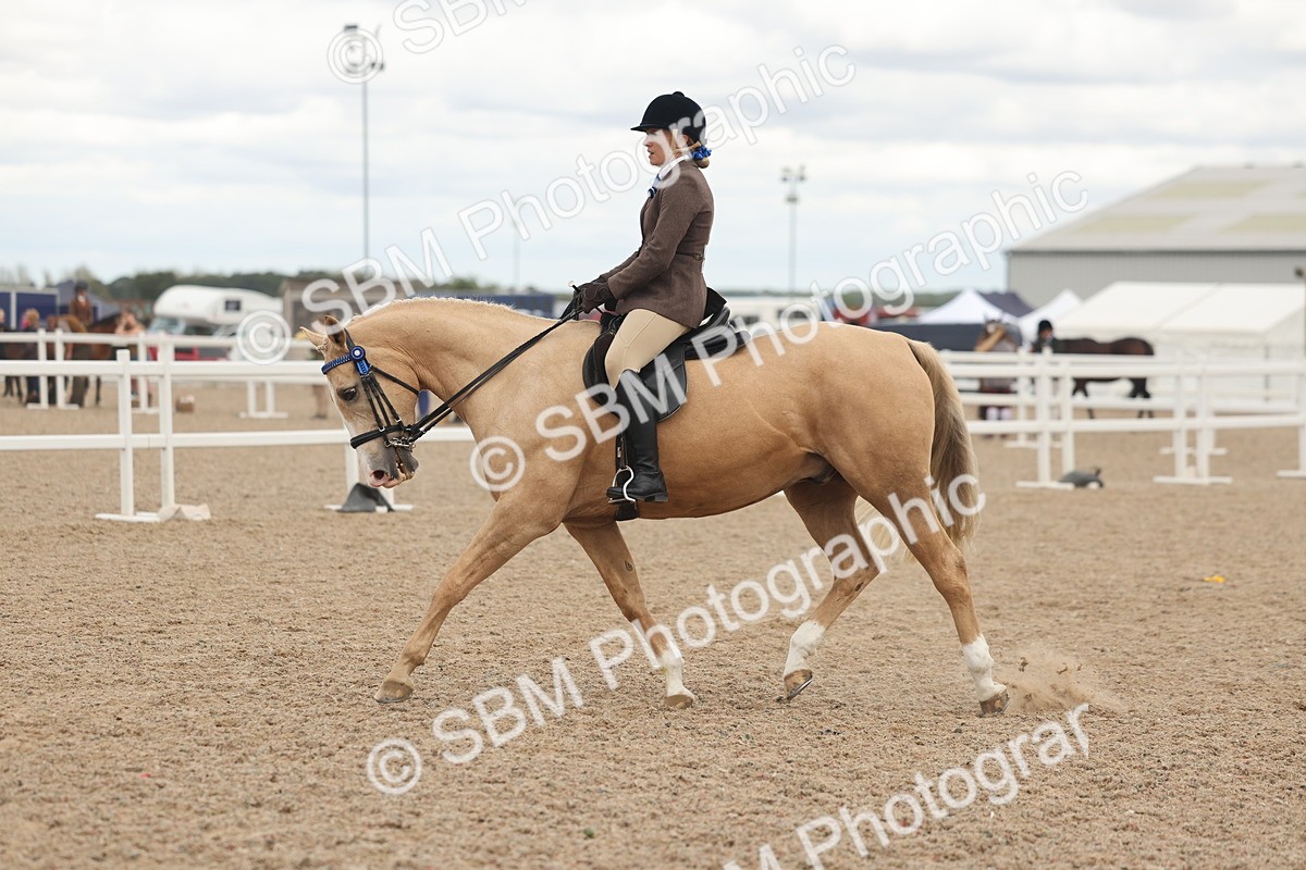 SBM_18136 - Class 315 - Best Horse-Rider Combination