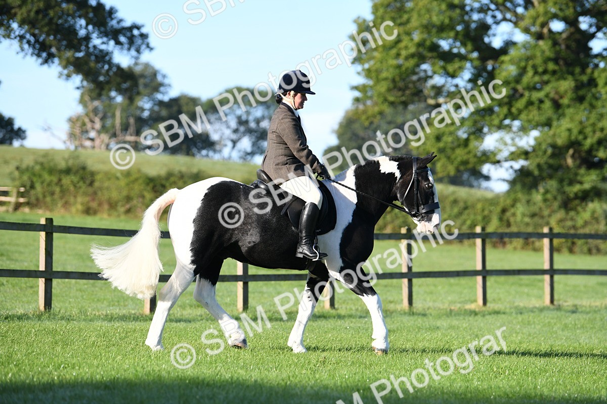 SBM_33970 - S16 - Condition & Turnout - Ridden