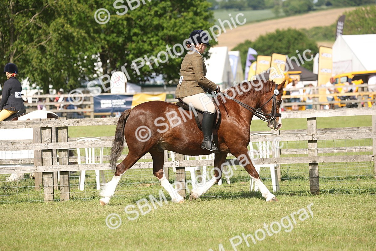 SBM_09554