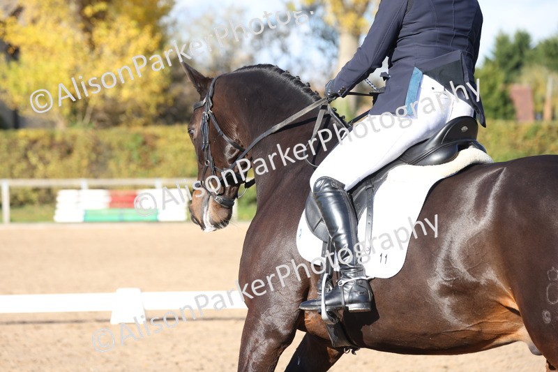 20251102-0987 - Class 5 - Elementary 5