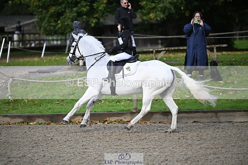 251005A-090602-02947 - Cls 02 GR 50cm