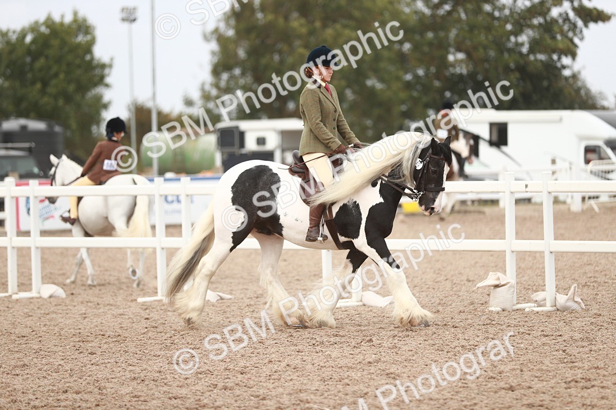 SBM_16643 - Class 214 Ridden Cob