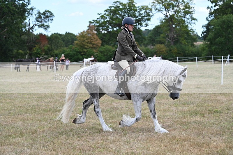 WJ7_5295 - Class 12 Ridden Cob