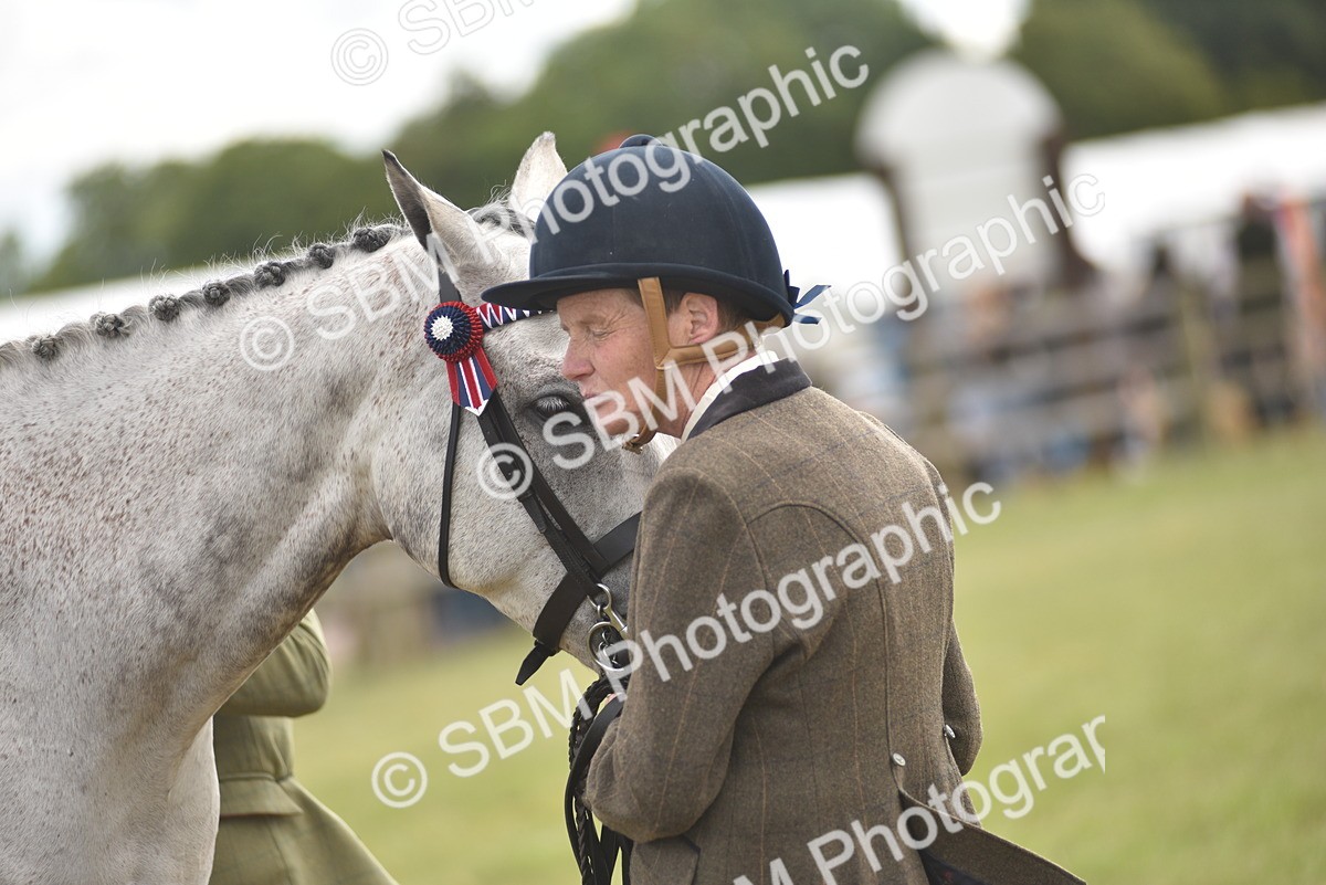 SBM_15122 - Class 113-114 - Retraining of Racehorses Ridden