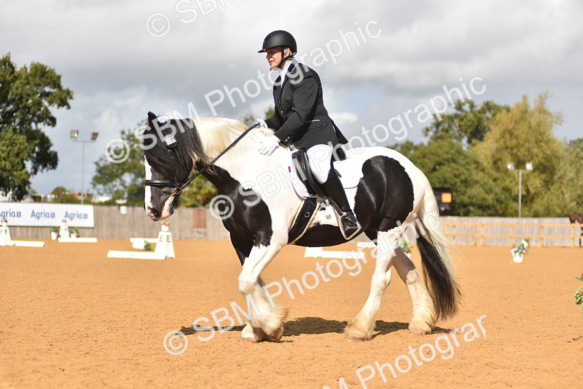 SBM_03160 - D4 - Small Tour Championship Intro 4