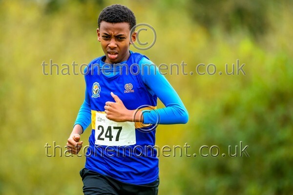 WestRLY25-923674 - Young Male Set One