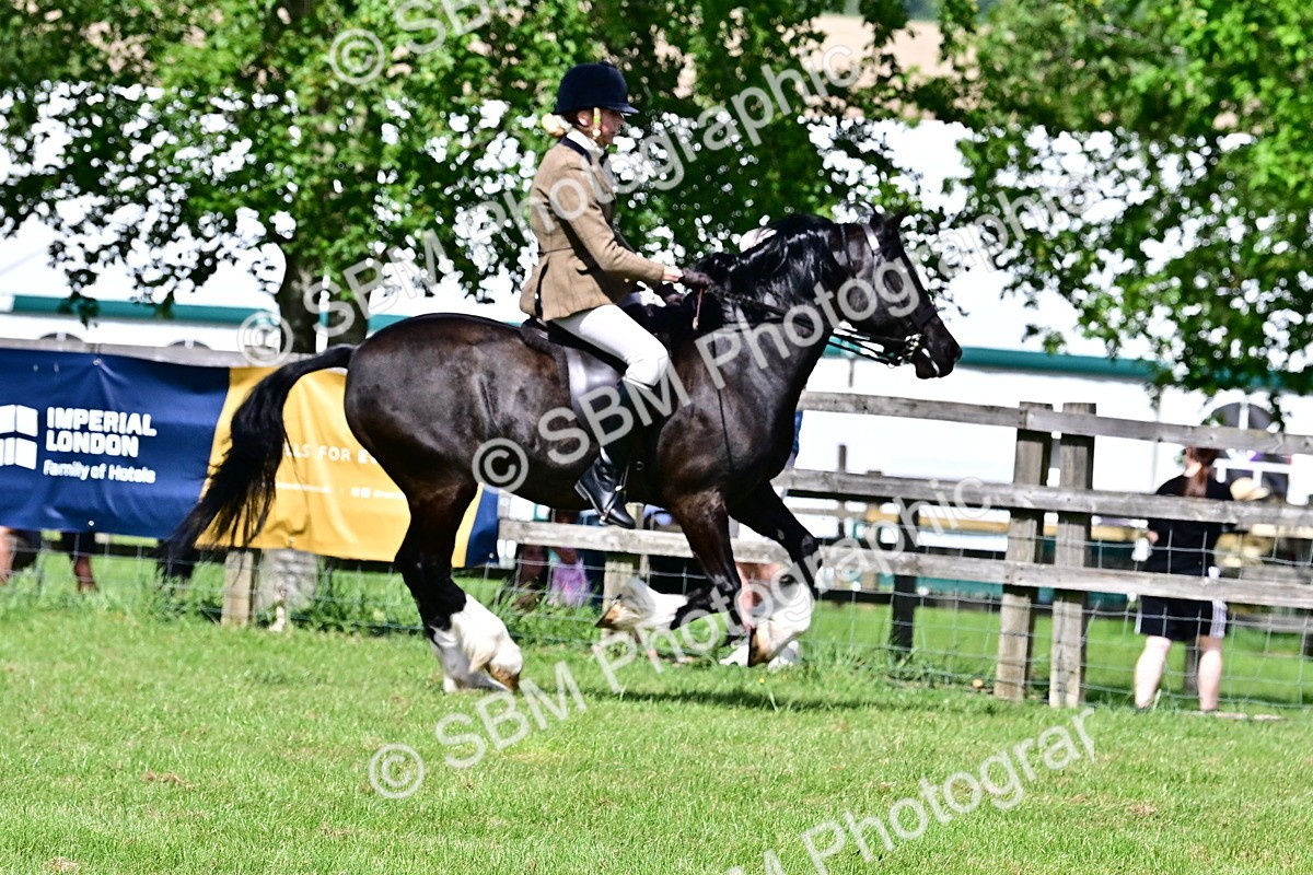 SBM_08031 - Class 61-62 - TSR  M&M Ridden Amateur of the Year