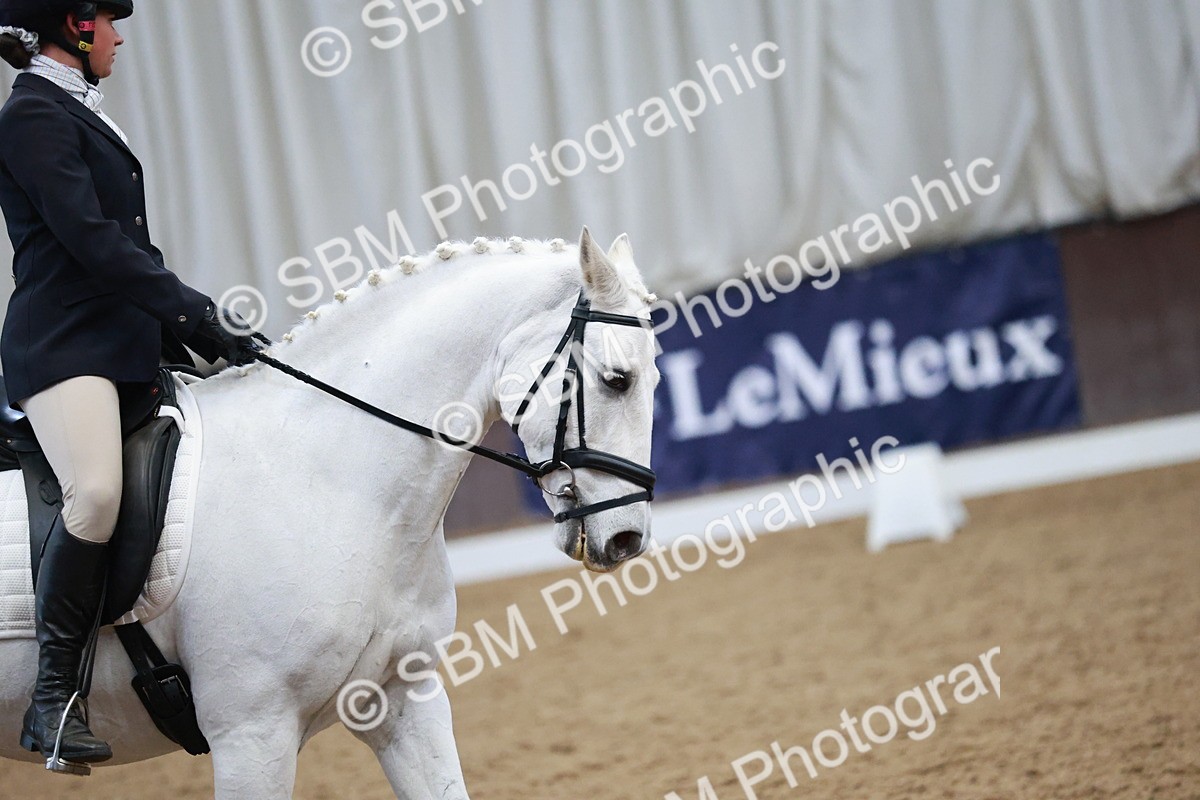 SBM_004497 - Ring 3 - International -  Working Hunter Classes 23-2-25