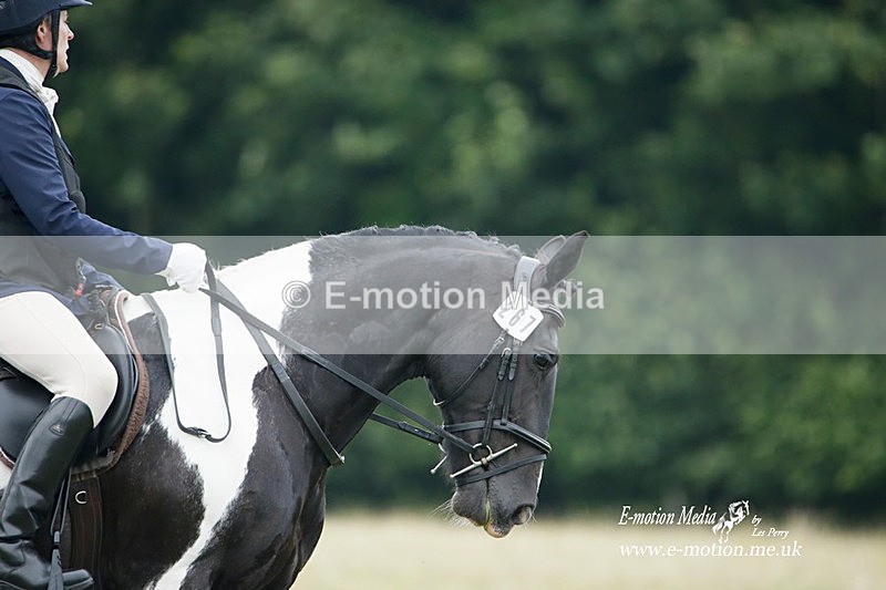 BVRC 030721 449 - Bourne Valley Riding Club Dressage 03/07/21