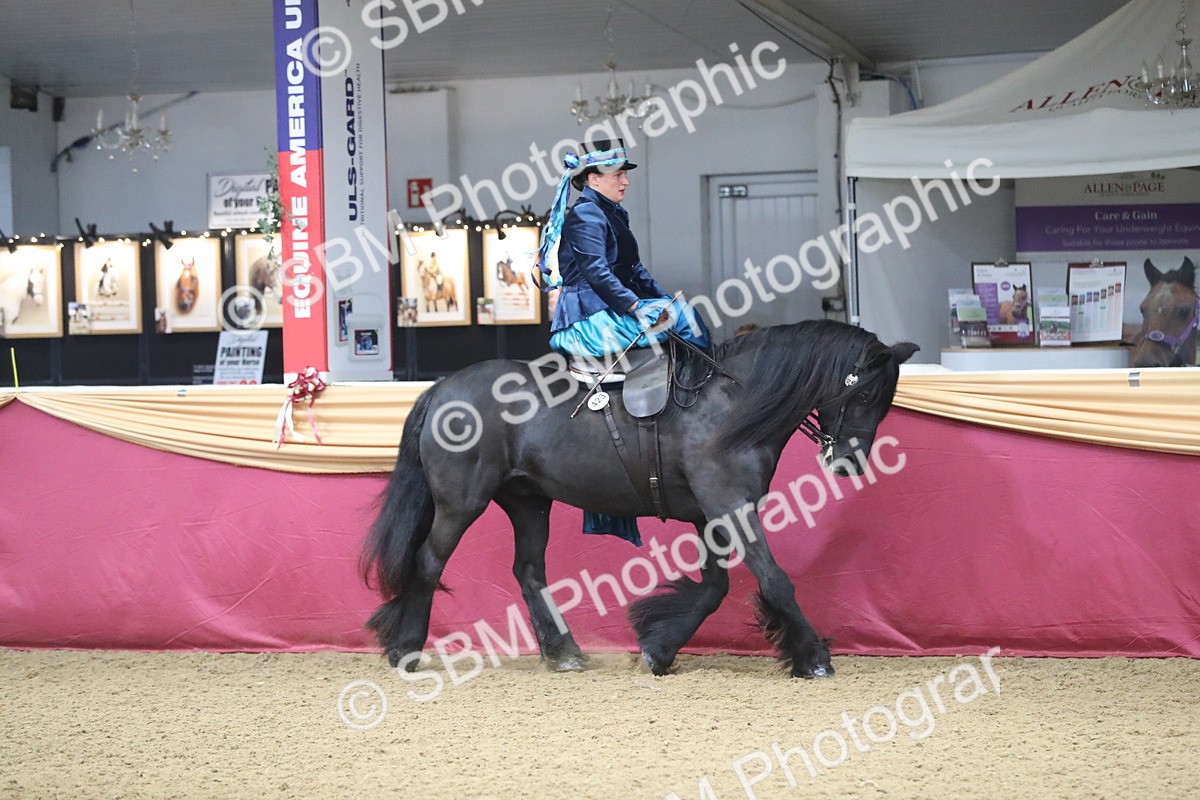 SBM_11533 - Class 105 Ridden Costume- Side Saddle