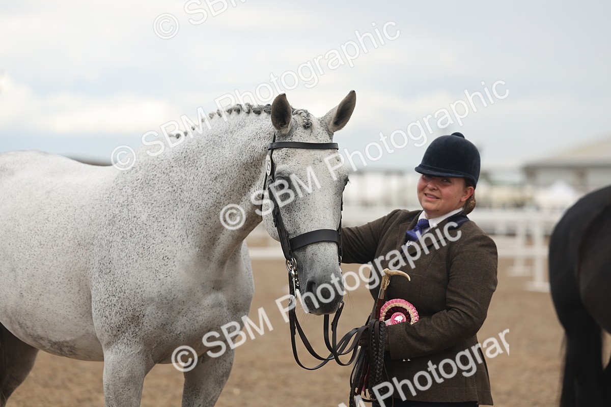 SBM_07952 - Class 28 - IH Veteran Horse